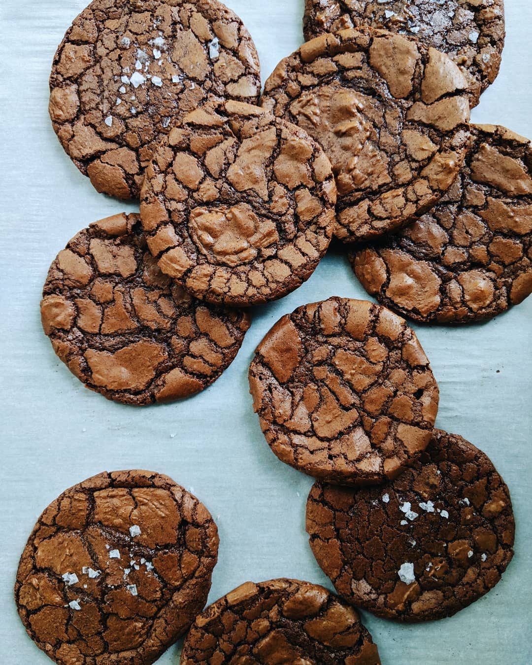 brownie crinkle cookies